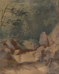 Paysage forestier avec rochers